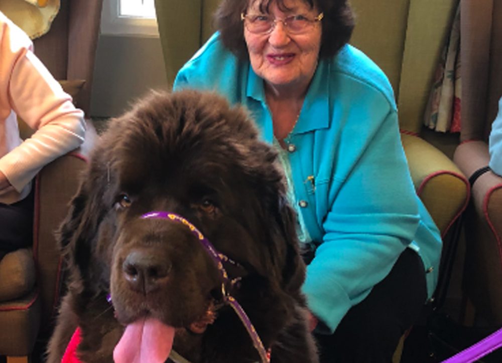Pets improving lives for the elderly at Bridgewater Home Care