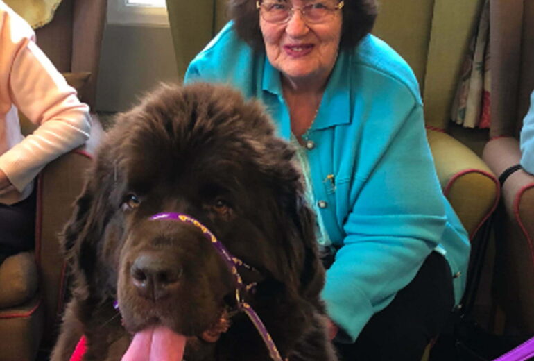 Pets improving lives for the elderly at Bridgewater Home Care