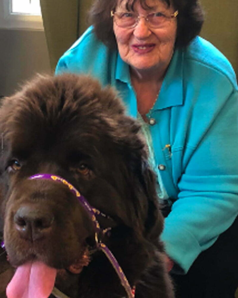 Pets improving lives for the elderly at Bridgewater Home Care